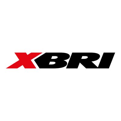 XBRI