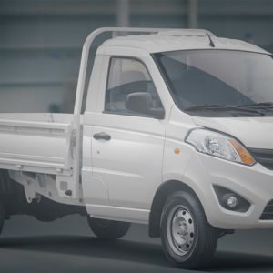 Vehículos de Carga - LTR